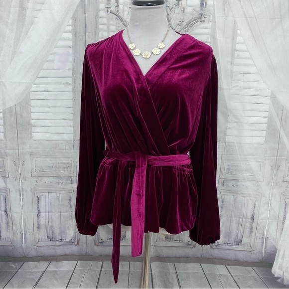 NEW Ralph Lauren Size M Medium Garnet Pink Solid Velvet Belted Peplum Blouse Top - Picture 3 of 12